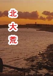 久久一本